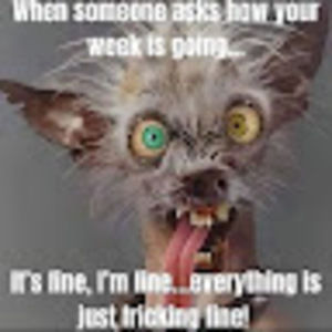 Meet your Posher, Tina